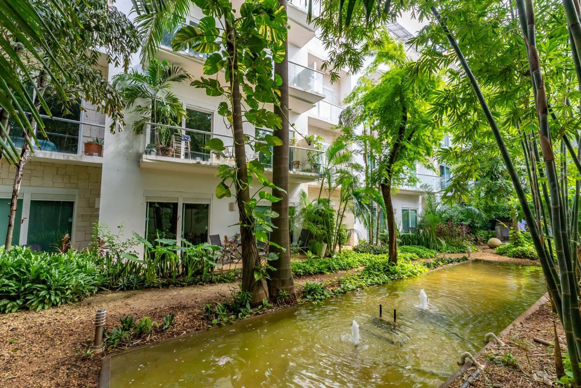 Papaya 15 Apartments 普拉亚卡门 外观 照片