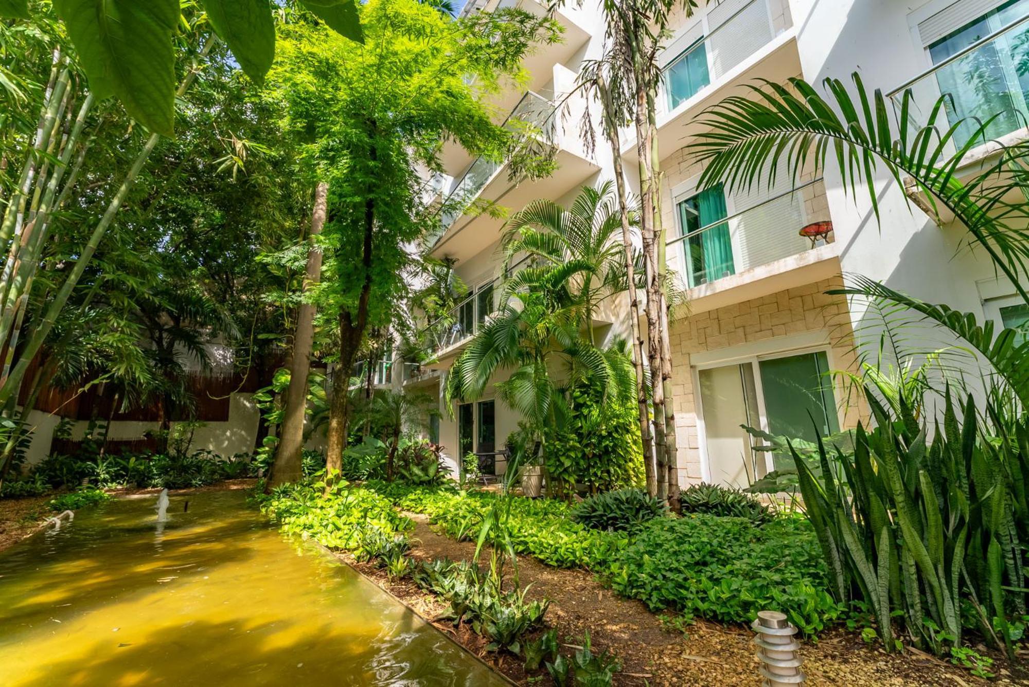 Papaya 15 Apartments 普拉亚卡门 外观 照片